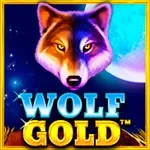 Wolf Gold