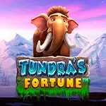 Tundras Fortune