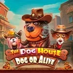 The Dog House Dog or Alive