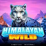 Himalayan Wild