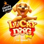 Lucky Dog