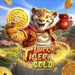 Lucky Tiger Gold
