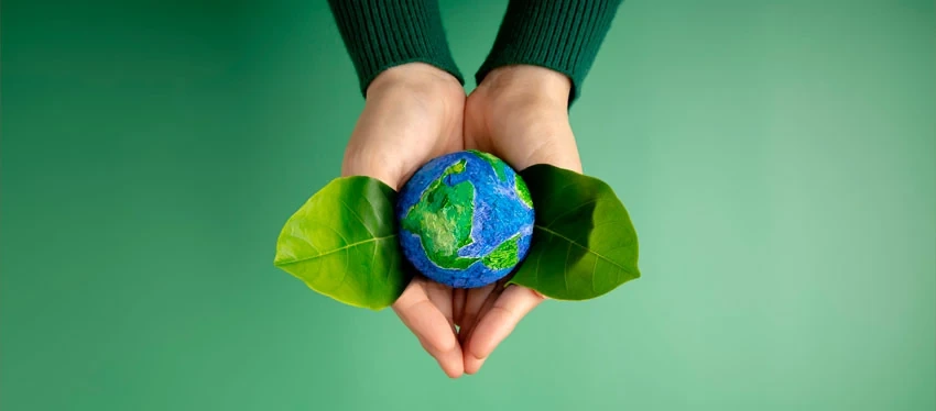 We celebrate Environment Day: Why playing the lottery online also helps protect the environment.